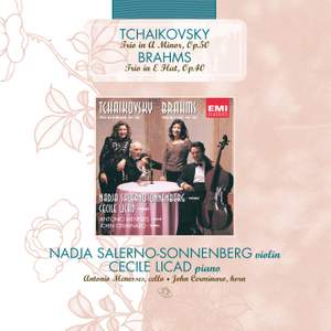 Tchaikovsky: Piano Trio & Brahms: Horn Trio