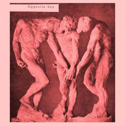 Opposite Sex
