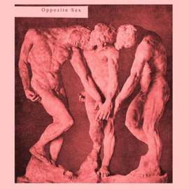 Opposite Sex