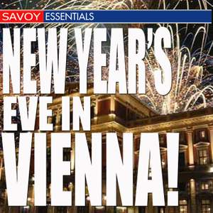 New Year's in Vienna