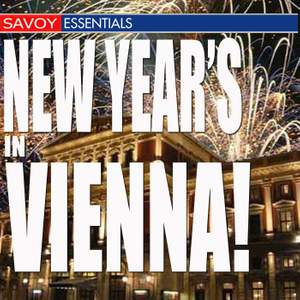 New Year's in Vienna
