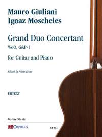 Grand Duo Concertant Wo0, G&P-1