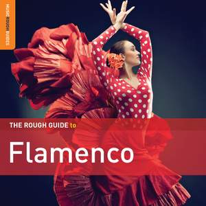 The Rough Guide to Flamenco (3rd Edition)