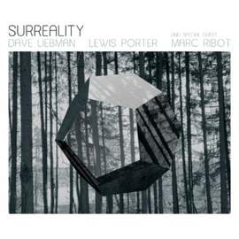 Surreality