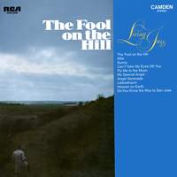The Fool On the Hill