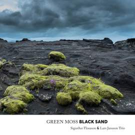 Green Moss and Black Sand