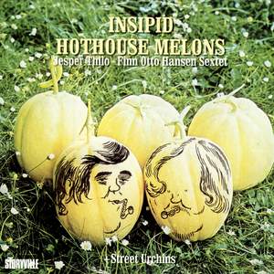 Insipid Hothouse Melons