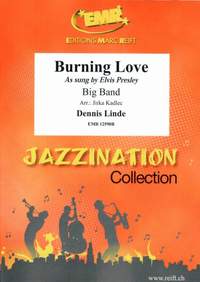 Linde, Dennis: Burning Love