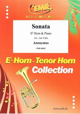 Sonata in D min