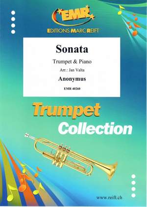 Sonata in D min