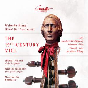 The 19th Century Viol