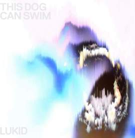 This Dog Can Swim