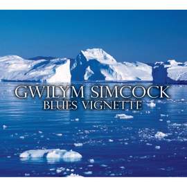 Blues Vignette