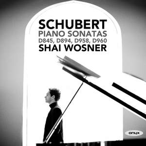 Schubert: Piano Sonatas D845, D894, D958 & D960