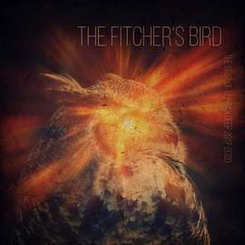 The Fitcher's Bird (The Best of Durban Deep 2017 - 2020)