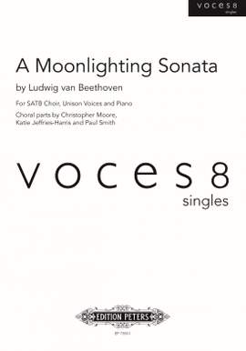 Ludwig van Beethoven: A Moonlighting Sonata