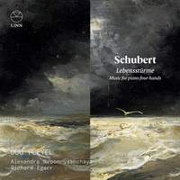 Schubert: Lebensstürme. Music for Piano Four-Hands