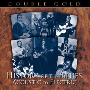 History of the Blues - Acoustic To Electric (2cd)