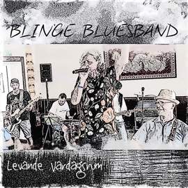 Levande Vardagsrum