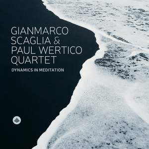 Dynamics in Meditation