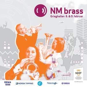 Nm Brass 2013 - Elitedivisjon