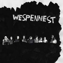 Wespennest