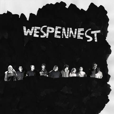Wespennest