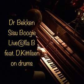 Sisu Boogie - Live @ Ila B
