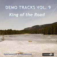 Vol. 9: King of the Road - Demo Tracks
