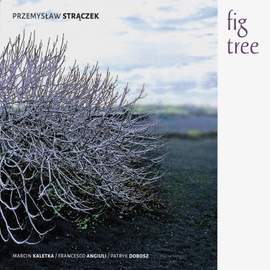 Fig Tree