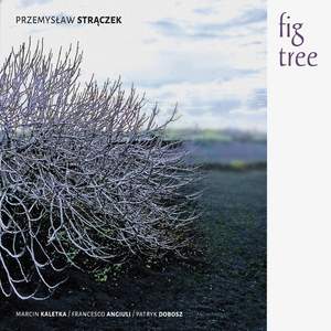 Fig Tree