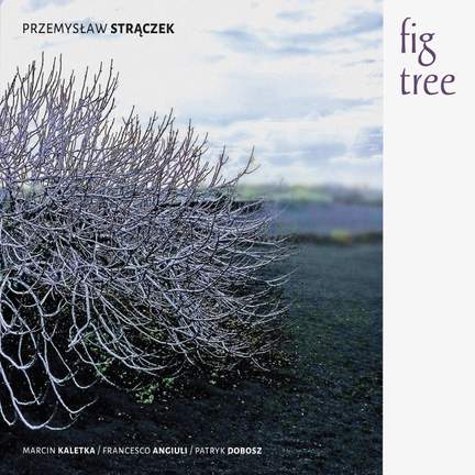 Fig Tree
