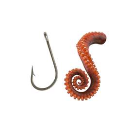 Jumbo Squid