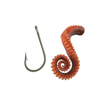Jumbo Squid