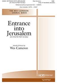 Wes Cameron: Entrance into Jerusalem