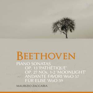 Beethoven: Piano Sonatas, Opp. 13 & 27 & Other Works