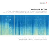 Beyond the Horizon