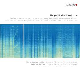 Beyond the Horizon