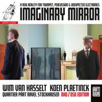 Imaginary Mirror