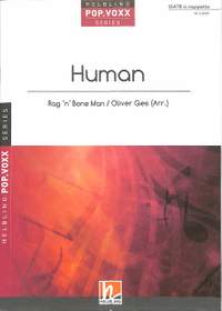 Rag 'n Bone Man: Human