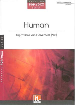 Rag 'n Bone Man: Human