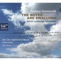 The Notes Are Swallows: Dutch Landscape Miniatures