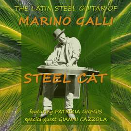 Steel Cat