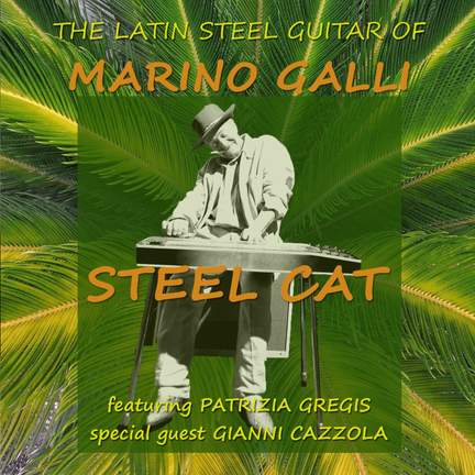 Steel Cat