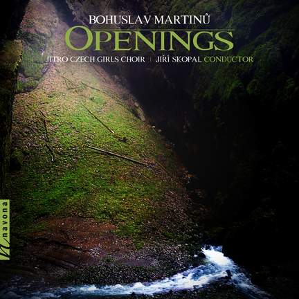Openings