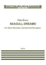 Peter Bruun: Seagull Dreams Product Image