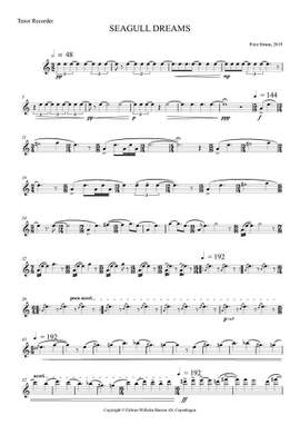 Peter Bruun: Seagull Dreams