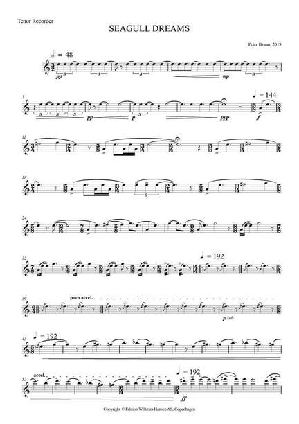Peter Bruun: Seagull Dreams