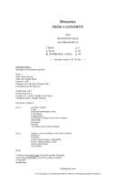Niels Rosing-Schow: Episodes From A Concerto (Score) Product Image