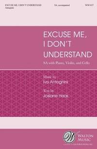 Ivo Antognini: Excuse Me, I Don't Understand
